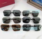 Best Quality New Cartier CT0533S Pilot Polarized Sunglasses for Sale 